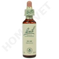 Bach Flower Remedies for Animals - Elm